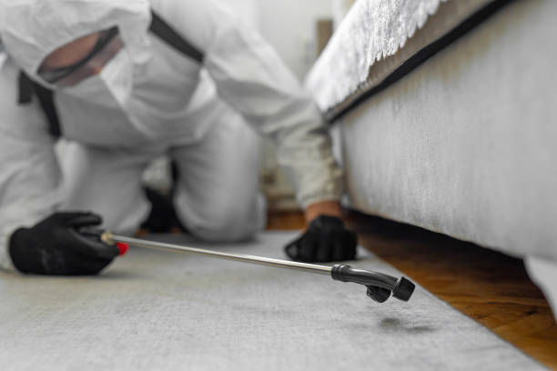 Professional Cockroach Control technician working in Noank, CT