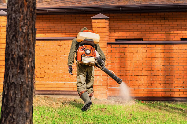 Trusted Cockroach Control service in Noank, CT - Nex Pest Control